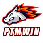 PTMWIN